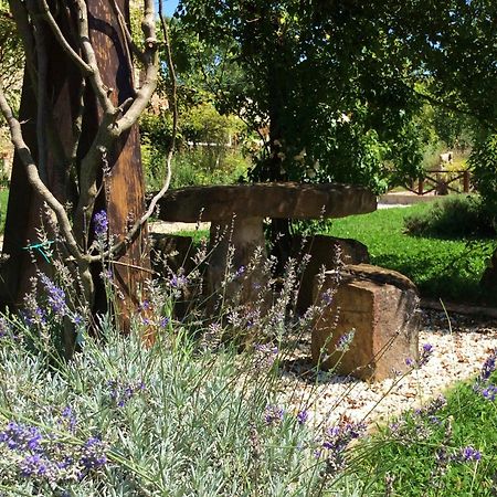 Abbazia Sette Frati Agriturismo Fratres Pietrafitta  Pokój zdjęcie